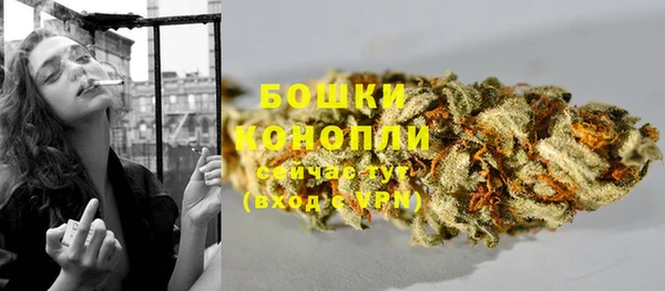 прущие крисы Елизово