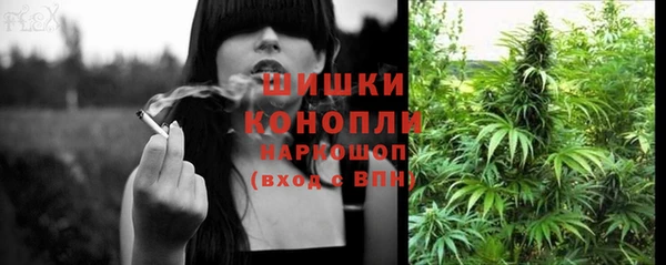 прущие крисы Елизово